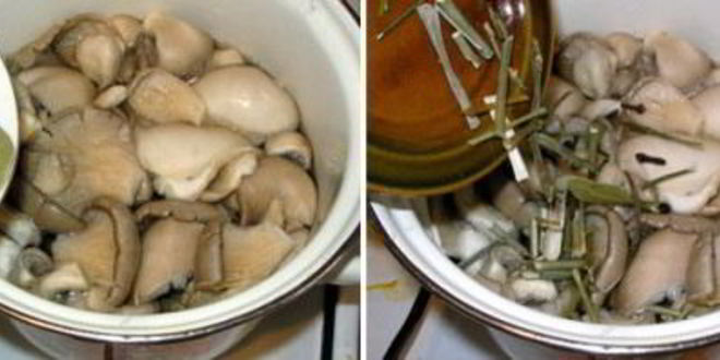 Рецепт маринованных вешенок за сутки