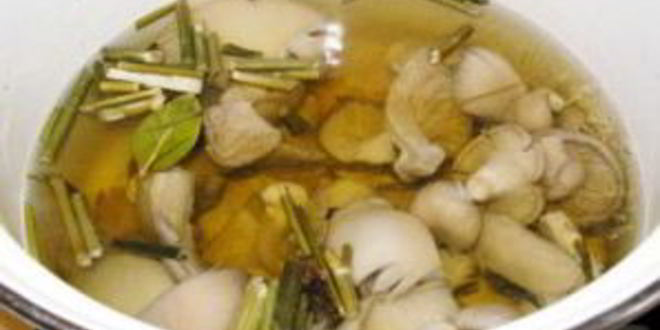 Рецепт маринованных вешенок за сутки