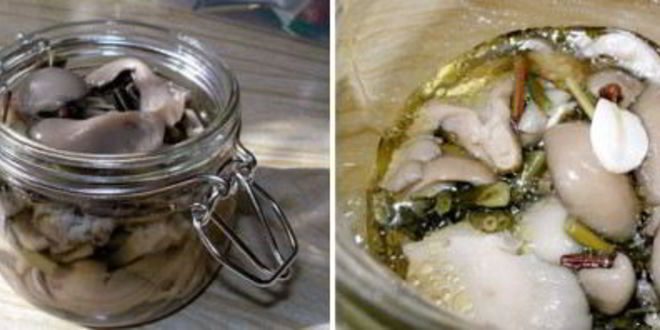 Рецепт маринованных вешенок за сутки