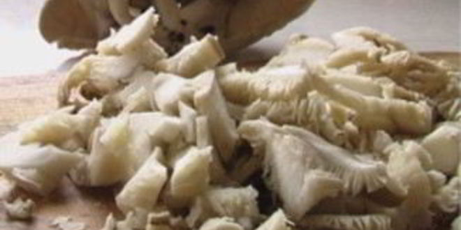 Рецепт маринованных вешенок