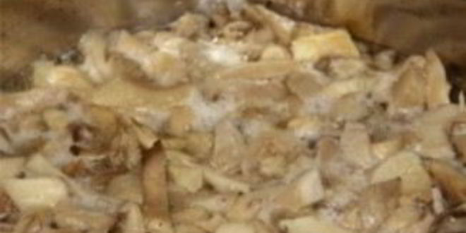 Рецепт маринованных вешенок