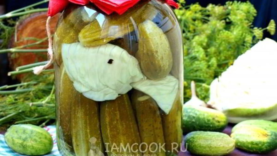 Рецепт огурцов, маринованных с капустой