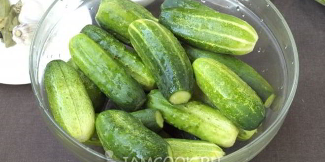 Рецепт огурцов, маринованных с капустой