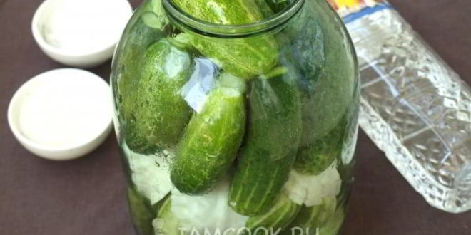 Рецепт огурцов, маринованных с капустой