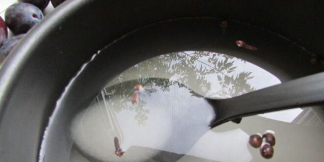 Рецепт слив, маринованных с чесноком