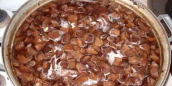 Рецепт сморчков маринованных