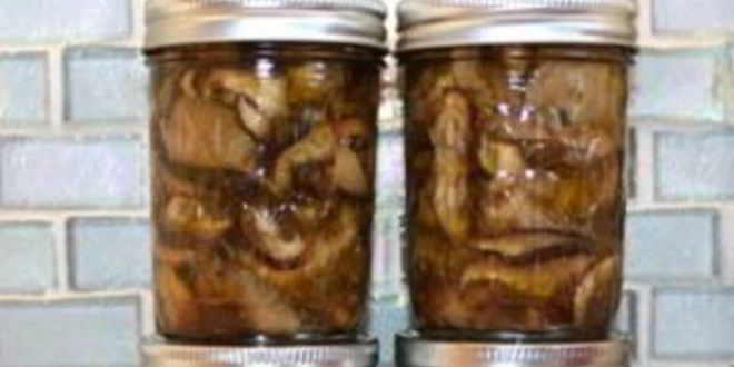 Рецепт маслят, жареных на зиму