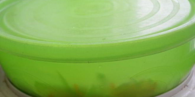 Рецепт медовой квашеной капусты