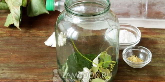 Рецепт огурцов холодным способом на зиму