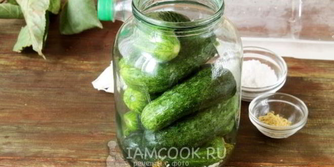 Рецепт огурцов холодным способом на зиму