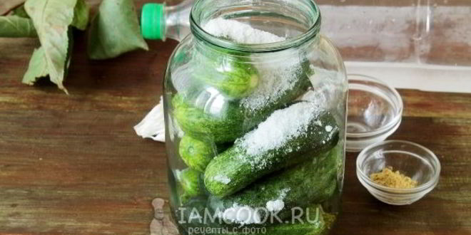 Рецепт огурцов холодным способом на зиму