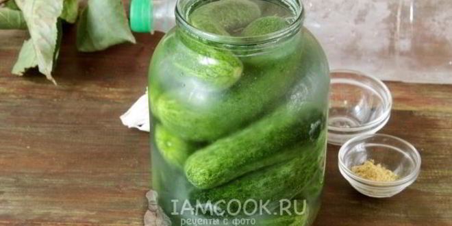 Рецепт огурцов холодным способом на зиму