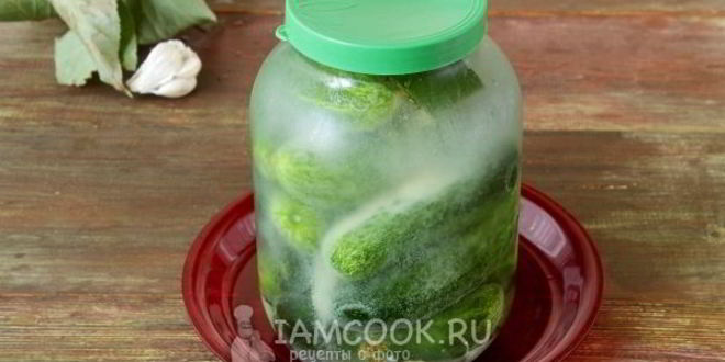 Рецепт огурцов холодным способом на зиму