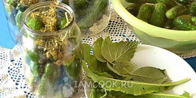 Рецепт огурцов на зиму проще простого