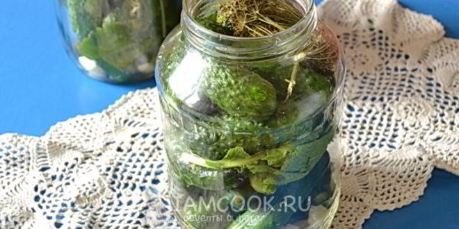 Рецепт огурцов на зиму проще простого