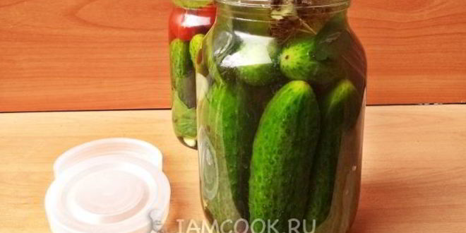 Рецепт огурцов под капроновой крышкой на зиму