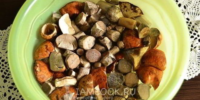 Рецепт подосиновиков, замороженных на зиму