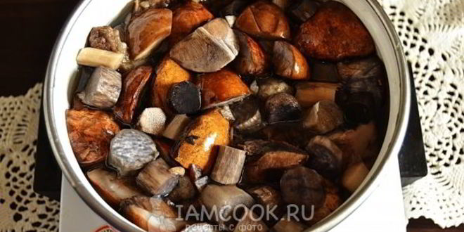 Рецепт подосиновиков, замороженных на зиму