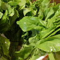 Рецепт Щавеля на зиму в микроволновке