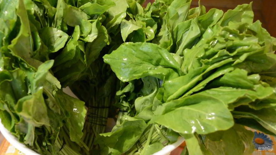 Рецепт щавеля на зиму в микроволновке