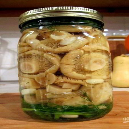 Рецепт Соления грибов на зиму