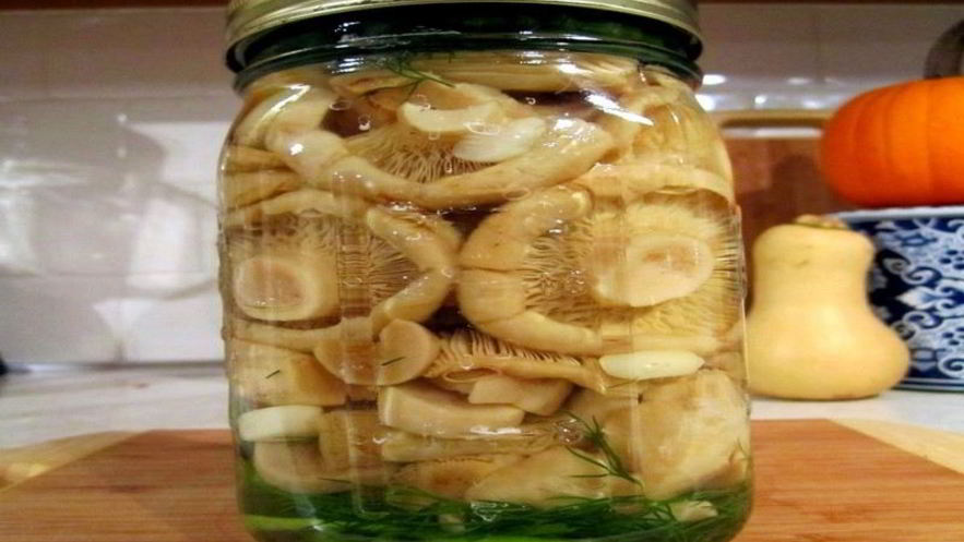 Рецепт соления грибов на зиму