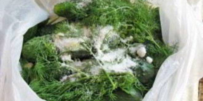 Рецепт быстрых малосольных огурцов за 5 минут