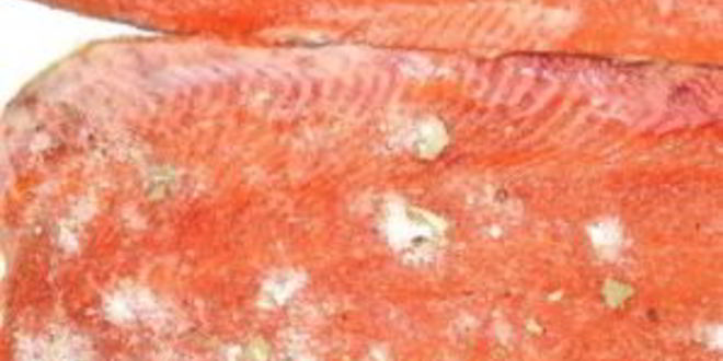 Рецепт горбуши слабосоленой