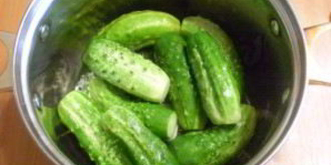 Рецепт хрустящих малосольных огурчиков