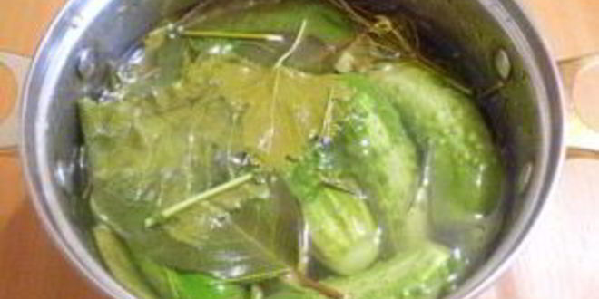 Рецепт хрустящих малосольных огурчиков