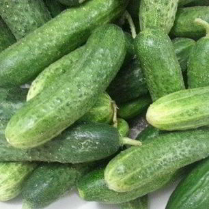 Рецепт Хрустящих малосольных огурцов