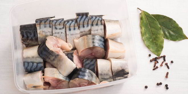 Рецепт малосольной скумбрии