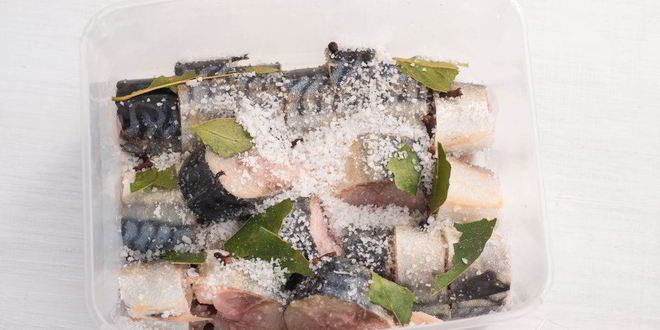 Рецепт малосольной скумбрии