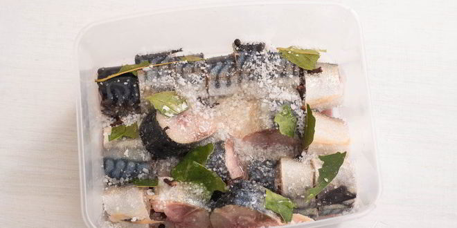 Рецепт малосольной скумбрии