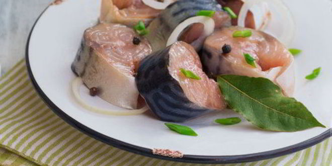 Рецепт малосольной скумбрии