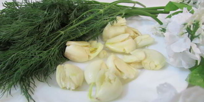 Рецепт малосольных огурчиков в минеральной воде