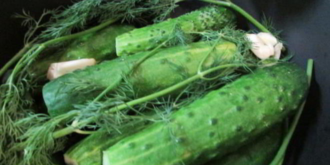 Рецепт малосольных огурчиков в минеральной воде