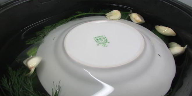 Рецепт малосольных огурчиков в минеральной воде