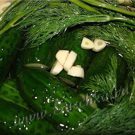 Рецепт Малосольных огурчиков