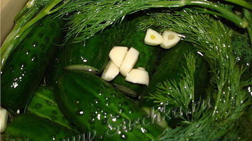 Рецепт малосольных огурчиков