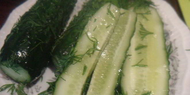 Рецепт малосольных огурцов без рассола