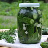 Рецепт Малосольных огурцов без закатки