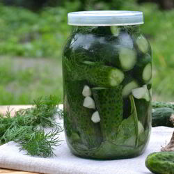 Рецепт Малосольных огурцов без закатки