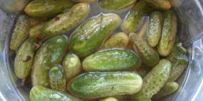 Рецепт малосольных огурцов на зиму