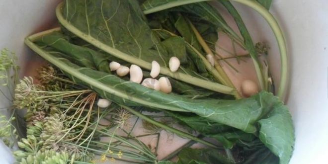 Рецепт малосольных огурцов на зиму