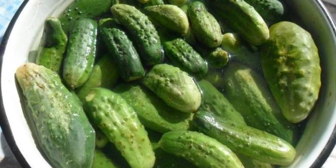 Рецепт малосольных огурцов на зиму