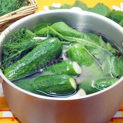 Рецепт Малосольных огурцов с листьями ежевики