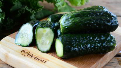 Рецепт Малосольных огурцов за сутки