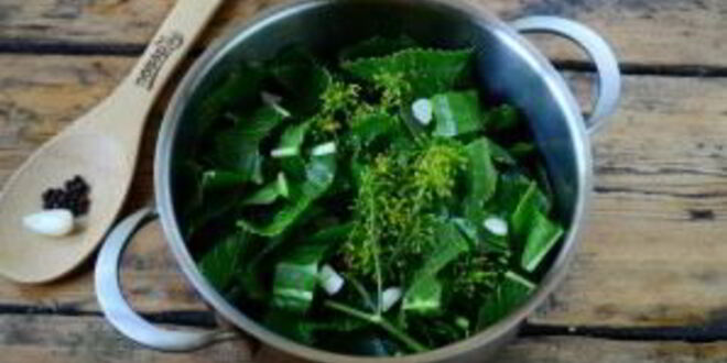 Рецепт малосольных огурцов за сутки