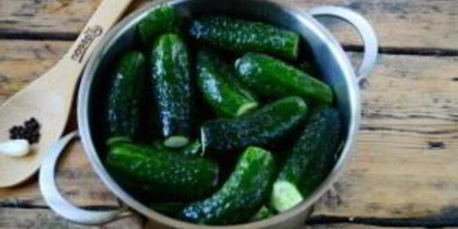 Рецепт малосольных огурцов за сутки